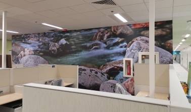 Office Wall Graphics fit-out