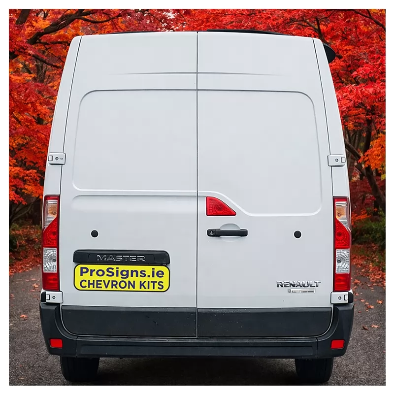 Renault Master 2010–2024 MR (H2) rear view van (double rear doors)